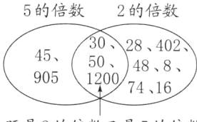 90512001207416