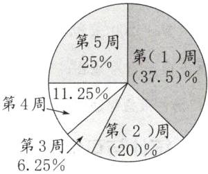 第2周第3周20625