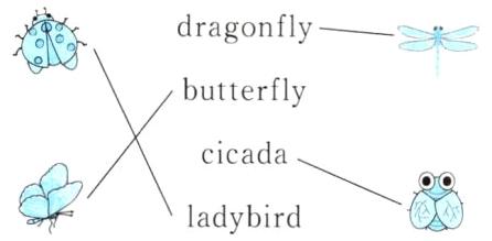 GNladybird