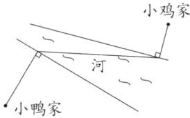 小鸭家