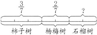 柿子树杨梅树石榴树