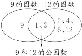 9和12的公因数