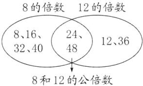8和12的公倍数