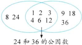 24和36的公因数