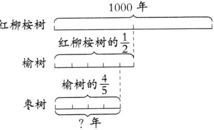 枣树年