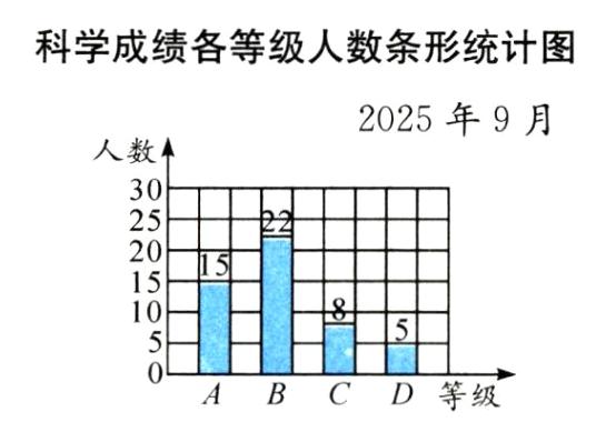 BCD等级