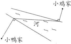 小鸭家