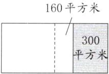 300方米