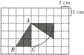 B一C1