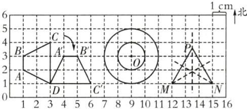AZViiNc11MII1N12345678910111213141516