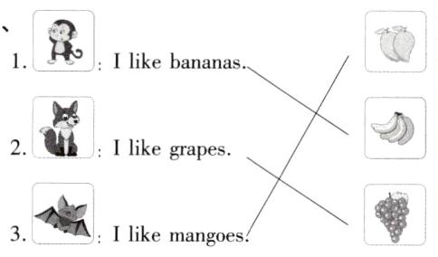 Ilikemangoes
