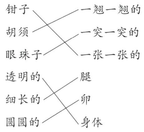 身体圆圆的
