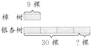 银杏树30棵棵