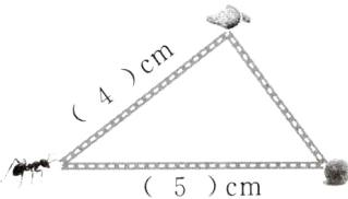 5cm