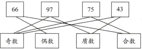 奇数合数质数偶数