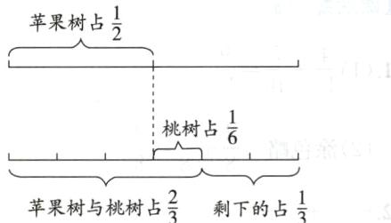 frac23剩下的占苹果树与桃树占