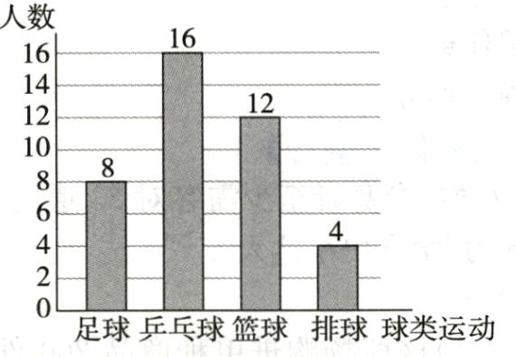 足球乒乓球篮球排球球类运动