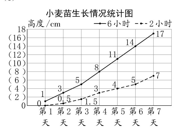 天天天天天天天