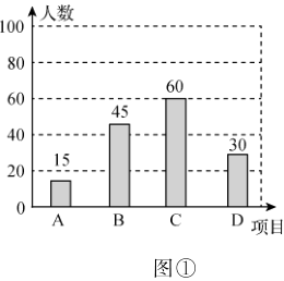 D项目图
