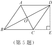 第5题