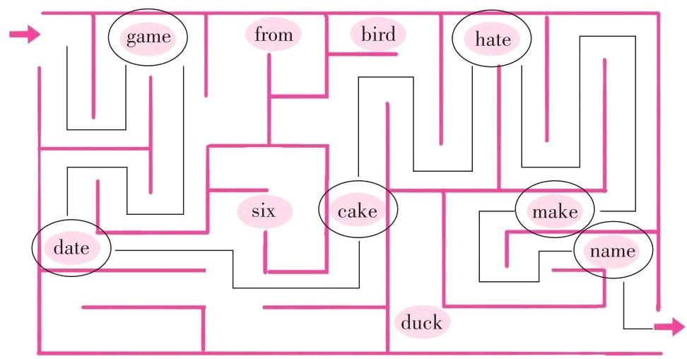 duck
