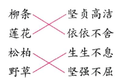 野草坚强不屈