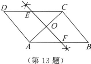 第13题