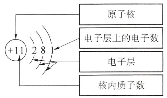 核内质子数