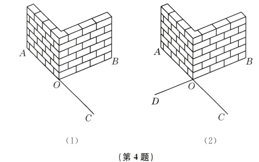 第4题