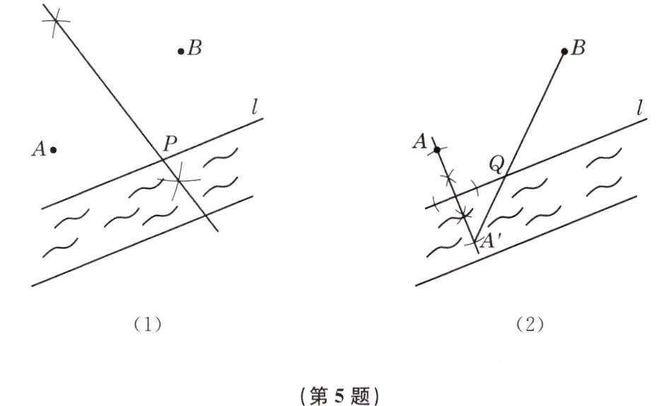 第5题