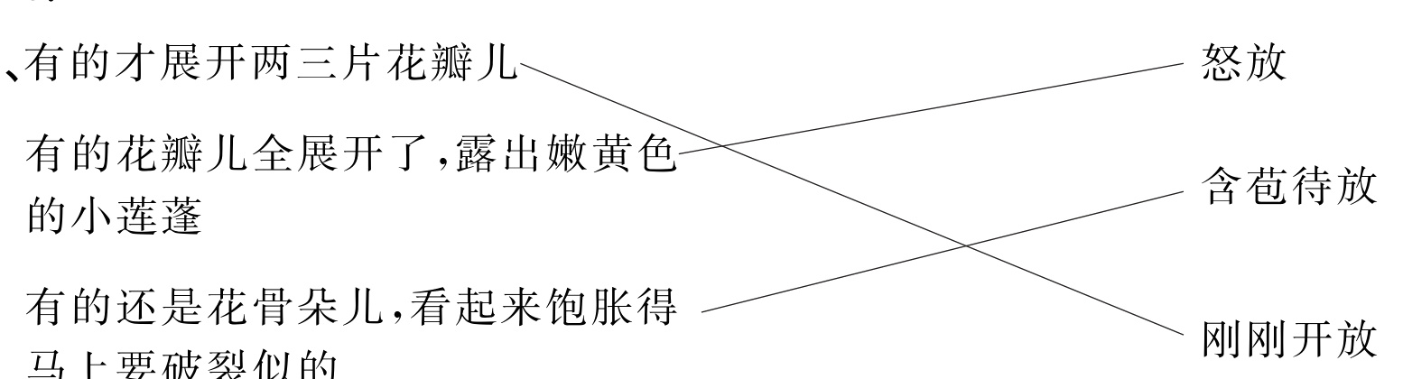 刚刚开放马上要破裂似的