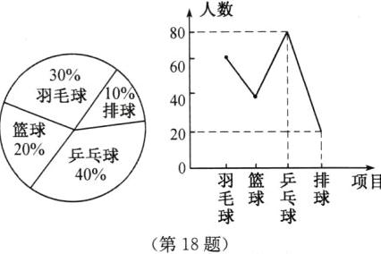毛球乓第18题