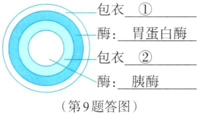 酶胰酶第9题答图