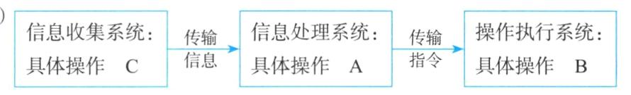 信息指令具体操作A具体操作C具体操作B