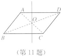 第11题