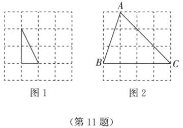 第11题