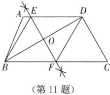 第11题