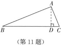 第11题