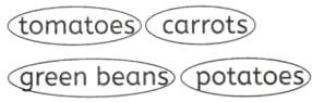 qreenbeanspotatoes