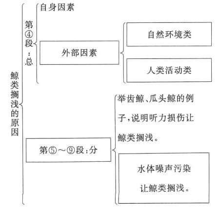 让鲸类搁浅