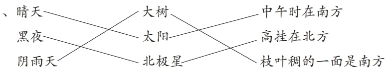 北极星枝叶稠的一面是南方阴雨天