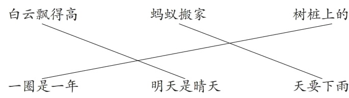 一圈是一年明天是睛天天要下雨