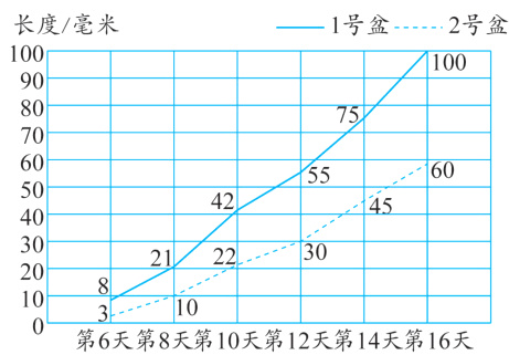 1010第6天第8天第10天第12天第14天第16天