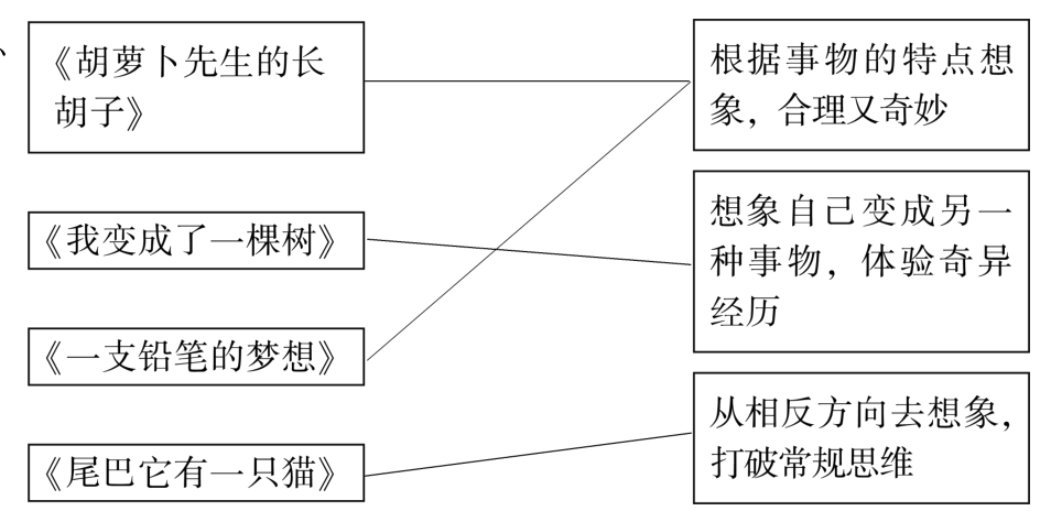 打破常规思维尾巴它有一只猫