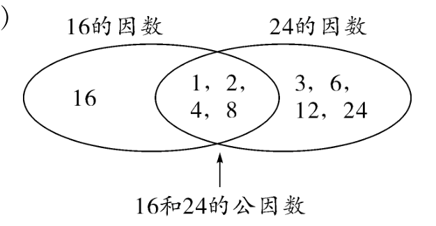 16和24的公因数