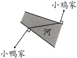 小鸭家
