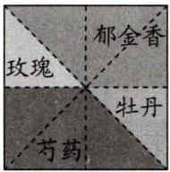 芍药