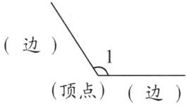 顶点边