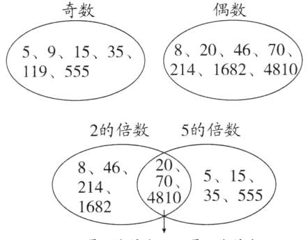4810355551682