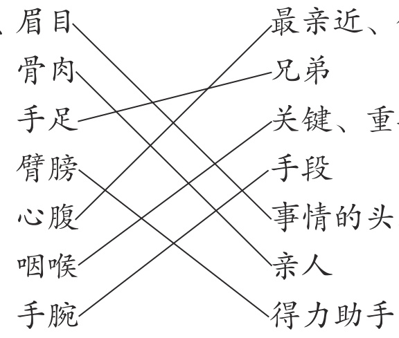 手腕得力助手
